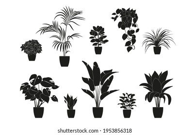 Collection silhouettes of houseplants in black color. Potted plants isolated on white. set green tropical plants. trendy home decor with indoor plants, planters, tropical leaves.