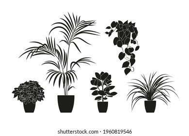 Silhouettes de colección de plantas de hogar de color negro. Plantas postizas aisladas en blanco. plantar plantas tropicales verdes. decoración de moda en casa con plantas interiores, planetas, hojas tropicales.