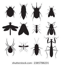 Collection of silhouettes insect species. Vector illustration