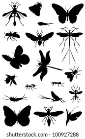 Collection of silhouettes of insects