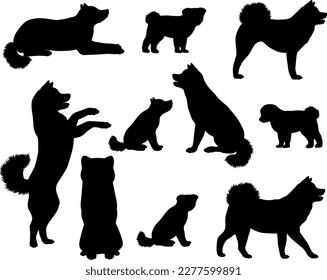 Collection of silhouettes of Japanese Akita or Akita Inu dog breed