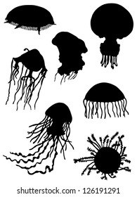 Collection of silhouettes of jellyfishes