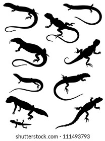 Collection of silhouettes of lizards