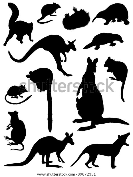 Collection Silhouettes Mammals Stock Vector (Royalty Free) 89872351 ...