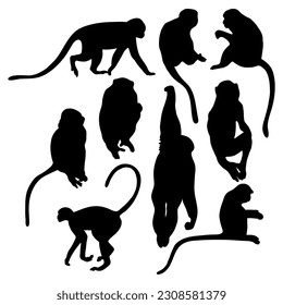 Collection silhouettes monkey. Vector illustration. Isolated primates on white background