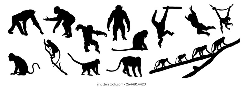 Coleção de silhuetas de macacos, gorilas em poses diferentes. Ideal para materiais educacionais, projetos criativos, colorir. poses expressivas, ações demonstradas