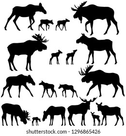 Collection of silhouettes of mooses also named elks and its cubs