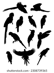 Collection silhouettes of parrots. Tropical birds macaw, cockatoo, budgerigar. Vector illustration. Isolated elements on white background