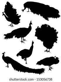 Collection of silhouettes of peacocks