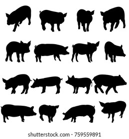 a collection of silhouettes of a pig