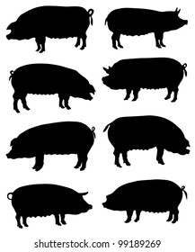 Collection of silhouettes of pigs