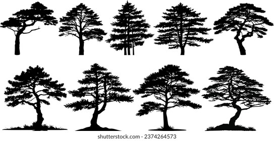 Collection of silhouettes of pine trees. Vector Illustration.