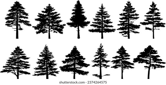 Collection of silhouettes of pine trees. Vector Illustration.