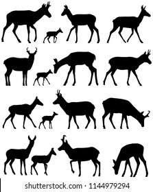 Collection of silhouettes of pronghorn antelope