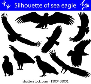 Collection of silhouettes of sea eagles