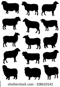 Collection of silhouettes of sheep