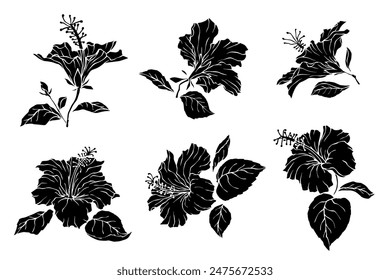 Collection of silhouettes, stamps of flowers and hibiscus buds. Vector graphics.