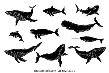 Collection of silhouettes, stamps of predatory marine mammals, fish. Vector graphics.