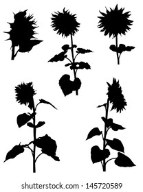 Download Sunflower Silhouette Vector Images, Stock Photos & Vectors ...