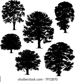 collection of silhouettes of trees