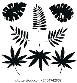 Collection of silhouettes of tropical leaves, monstera and palm trees, isolated on white background