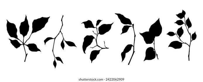 Collection of silhouettes of various branches with foliage.Vector graphics.