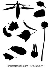 Collection of silhouettes of vegetables