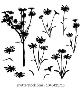 Flowers Silhouette Images Stock Photos Vectors Shutterstock