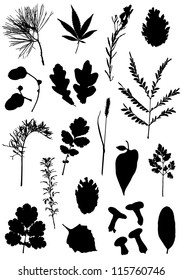 Collection of silhouettes wood gifts