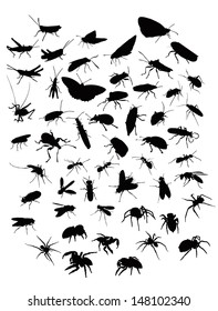 Collection of sillhouettes of insects and spiders