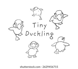 A collection of silly ducklings in a naive hand drawn doodle style with funny poses