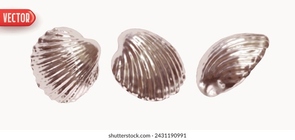 Collection silver Shell scallop. Set of Scallop seashell closed shapes of objects realistic 3d design. Design elements isolated on white background. Vector illustration