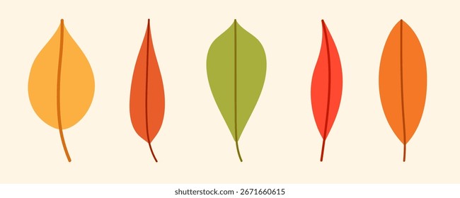 Collection of simple autumn leaves in flat vector with warm seasonal colors. Colorful fall leaf set for scrapbooking, card, pattern, banner, textile, packaging, printable, kids design. Isolated.
