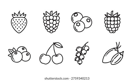 Collection of simple black line icon illustrations of various berries including strawberry raspberry blueberry cherry and currant