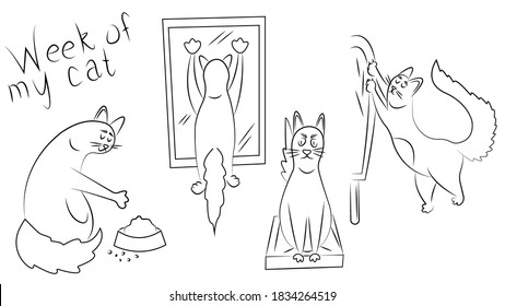 Collection with simple cat mascot. Linear doodle illustration of pet. Cat's daily routine. Characters of Siamese cats. Comics about brawler. For vet clinic, zoo shop, grooming salon, social networks