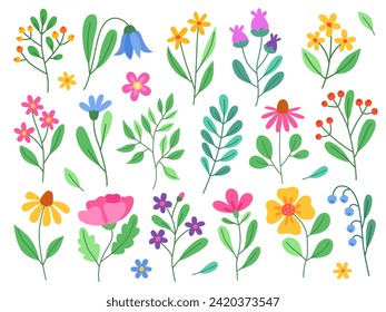 Collection of simple cute flowers, plants, branches and berries. Flowers and leaves of different shapes. Spring flowers. Design elements.