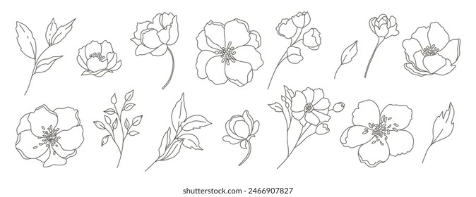 Collection of simple delicate hand drawn flowers leaves and branches in line art style. Trendy vector botanical sketch illustration on white background