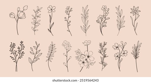 Colección de flores, hojas y ramas simples y delicadas dibujadas a mano en estilo de arte lineal. Ilustración de boceto botánico de Vector de moda sobre fondo beige