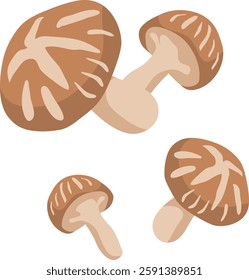 A collection of simple and flat shiitake mushroom illustrations