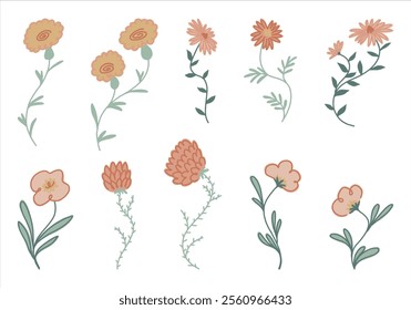 Colección de flores simples. Ilustraciones vectoriales botánicas abstractas dibujadas a mano aisladas en blanco.