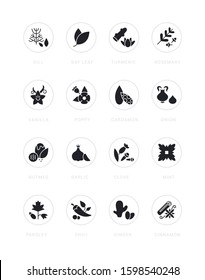 Collection simple icons of spices on a white background with names. Modern black and white signs for websites, mobile apps, and concepts