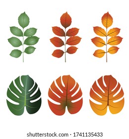 Collection of simple leaf illustrations on a white background.