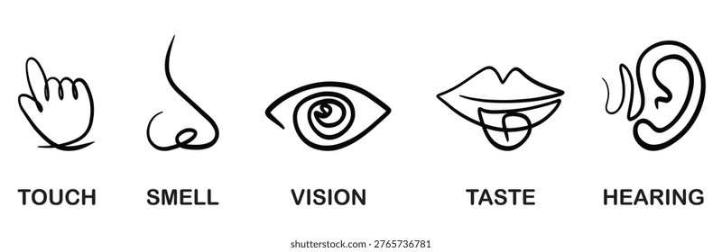 Collection of simple line art icons representing the five senses: touch, smell, vision, taste, and hearing. Educational and conceptual graphic.