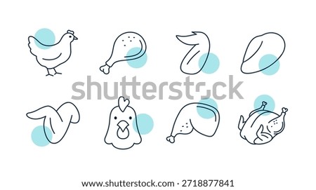 A collection of simple line art vector icons featuring a whole chicken, cuts, and parts, ideal for menus, butcher shops, or food graphics.