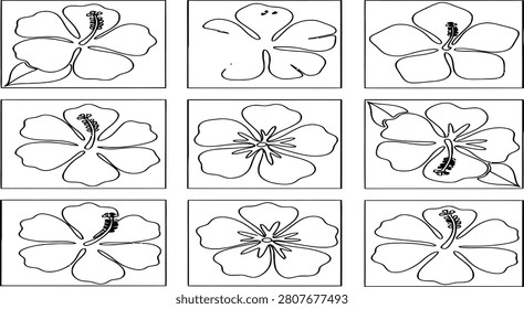 Collection simple line drawings