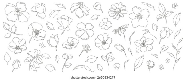 Coleção de flores, folhas e ramos desenhados à mão delicados simples no estilo da arte da linha. Vetor trendy desenho botânico ilustração sobre fundo branco
