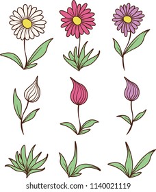 A collection of simple open and closed flowers.