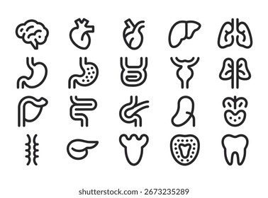 Eine Sammlung einfacher, stilisierter Linien-Kunstsymbole, die verschiedene menschliche Organe darstellen und im Rasterformat auf weißem Hintergrund präsentiert werden.