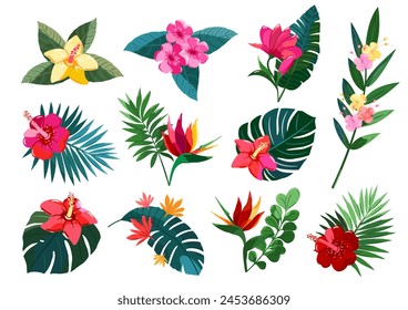 A collection of simple tropical flower designs to decorate.