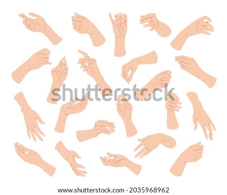 Collection of simple woman hands in various positions isolated on white background. Different female hands set.  Vector flat illustration.